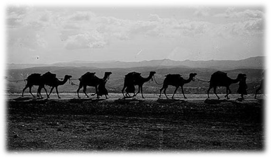 http://alsahra.org/wp-content/uploads/2007/08/silhouette-caravan-camel.jpg