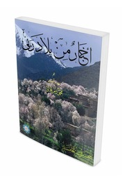 أخبار من بلاد ربي